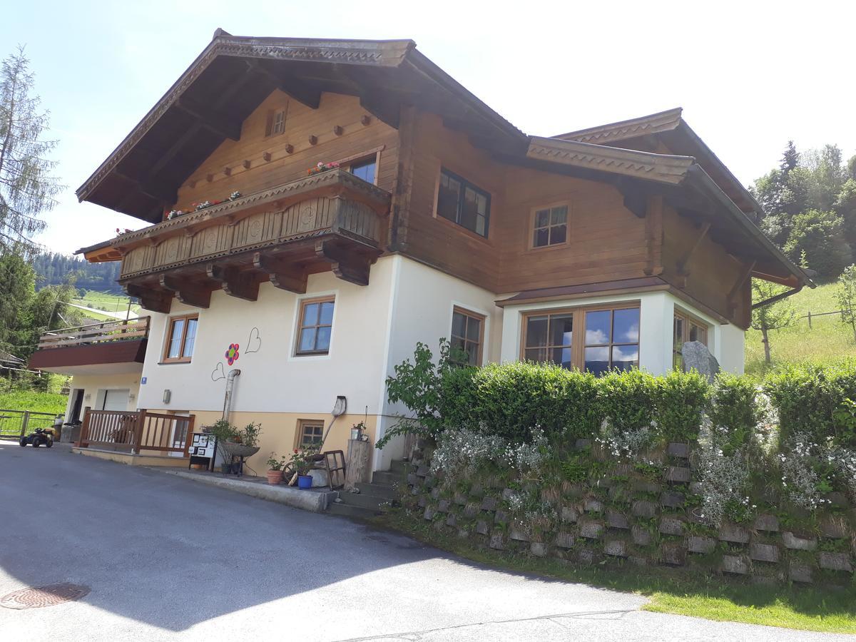 "Opa Sepp" - Gartenwohnung Niedernsill Ngoại thất bức ảnh